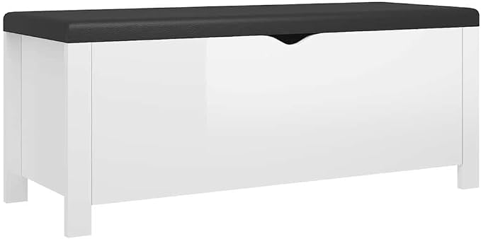 High Gloss White