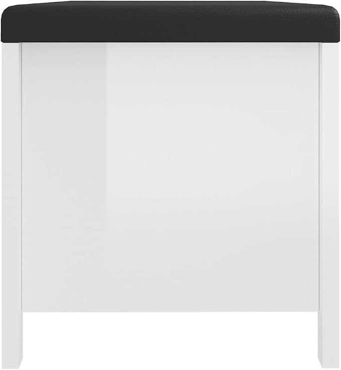 High Gloss White
