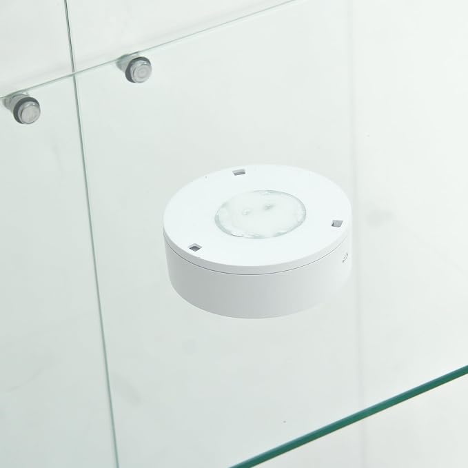 White - 2 Doors & 4 Shelves(led)
