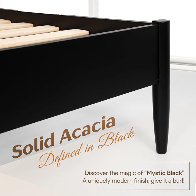 Mocha Black