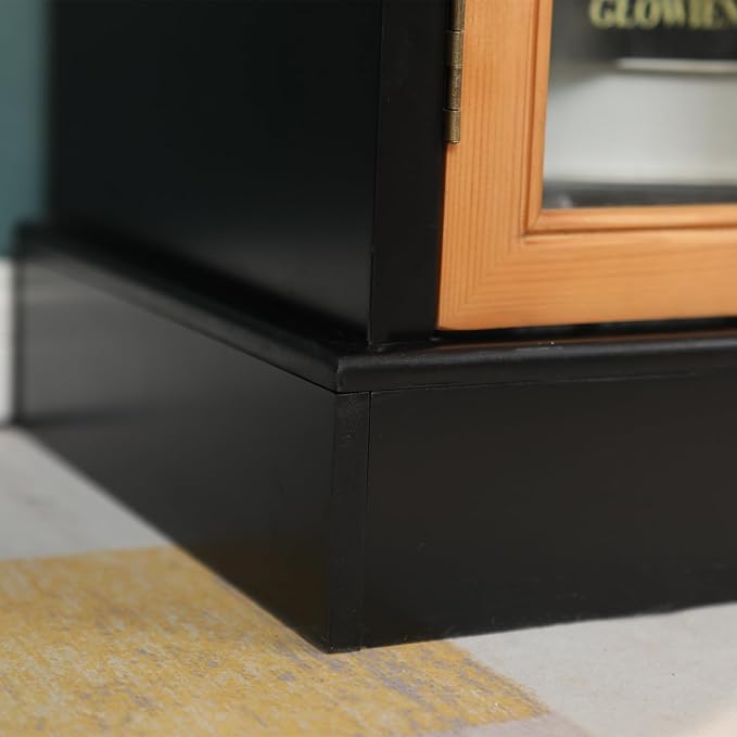 Black & Glass Doors