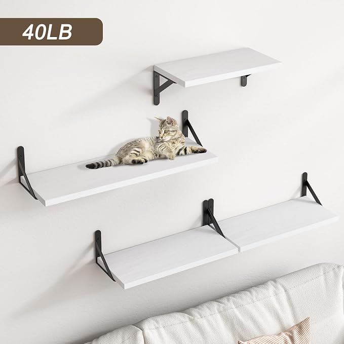 Rustic White