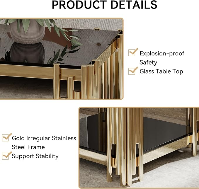 Black Glass and Gold Frame Adjustable Legs