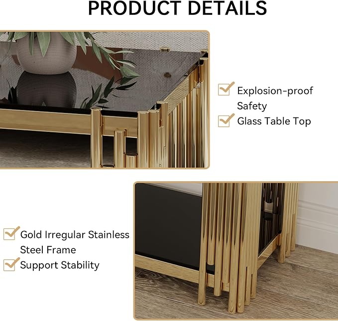 Black Glass and Gold Frame Adjustable Legs