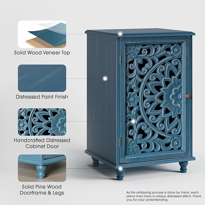 Blue_1 Door