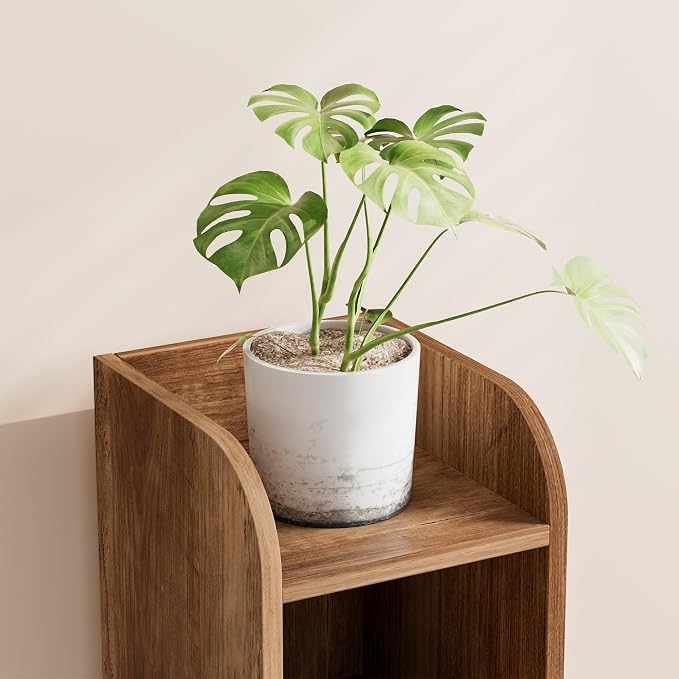 Rustic Walnut