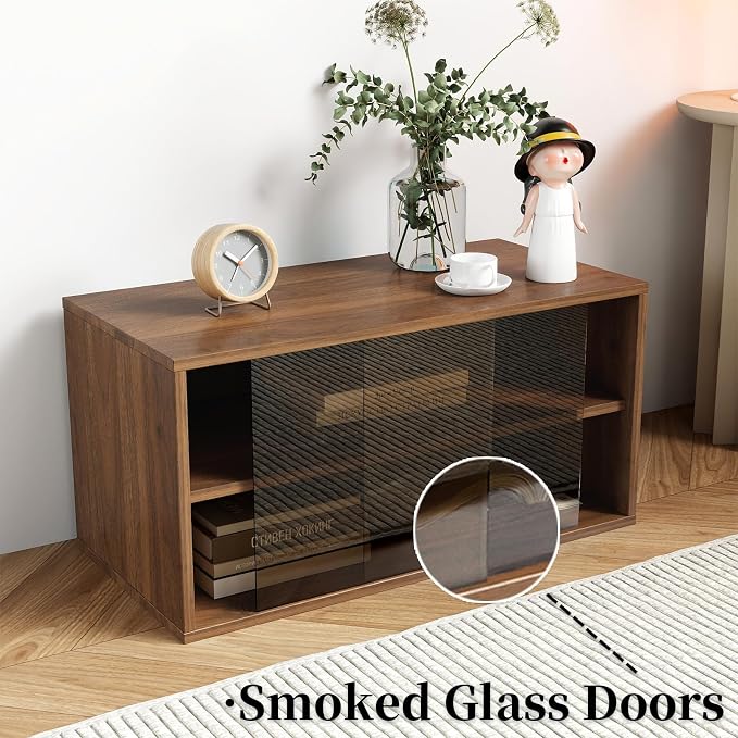 B1-glass Door