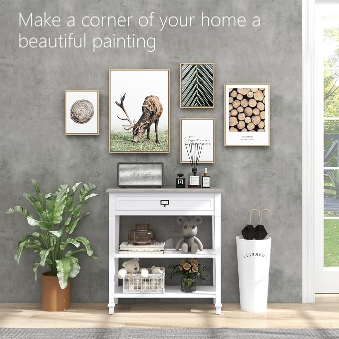 White-2 Shelves