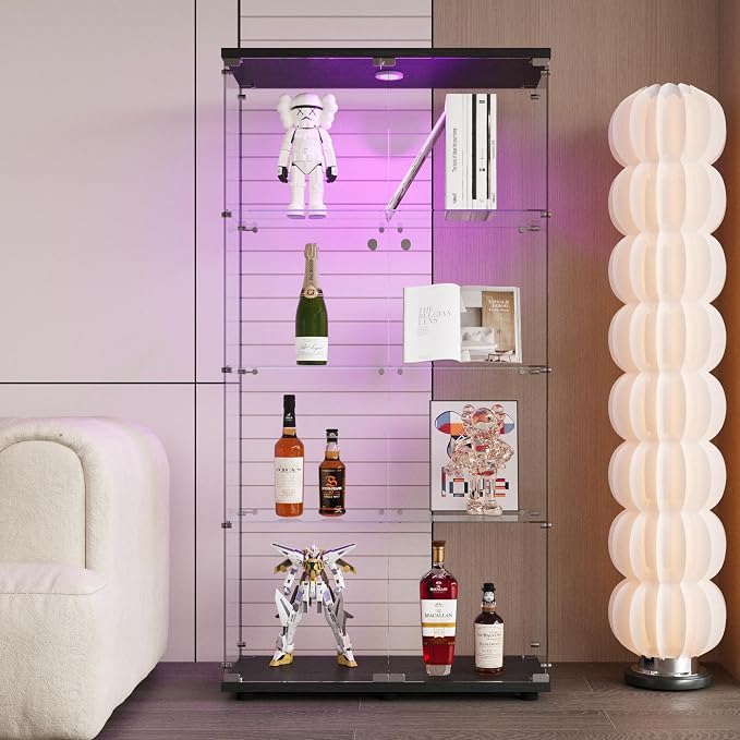 Black - 2 Doors & 4 Shelves(led)
