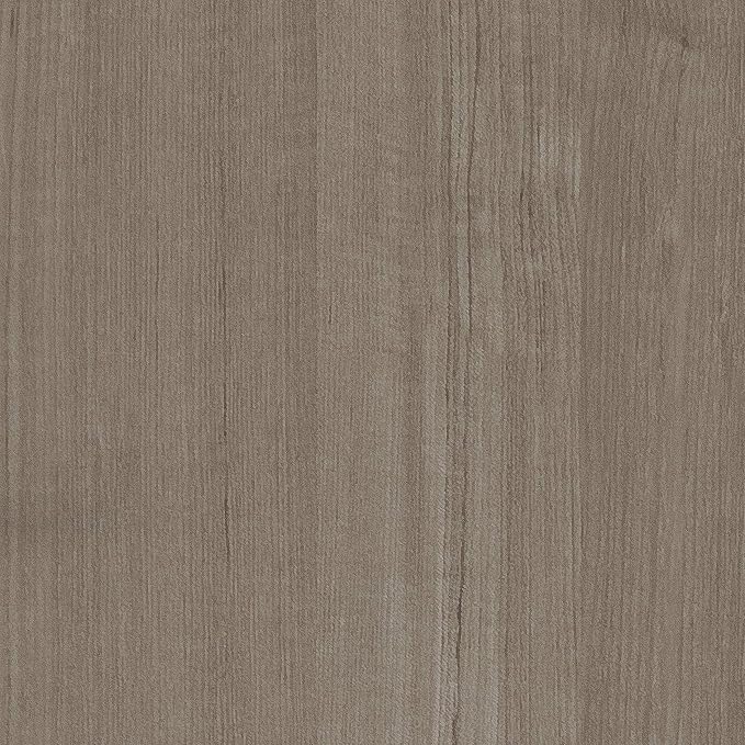 Silver Sycamore