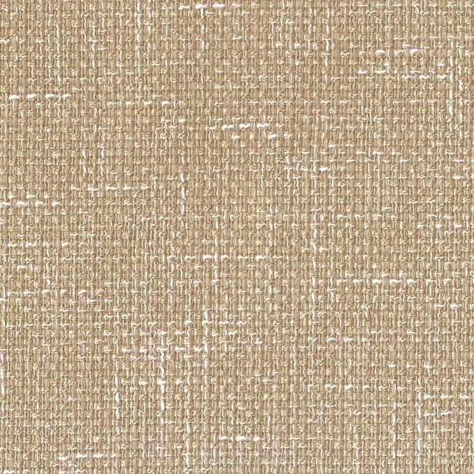 Light Tan Textured Solid
