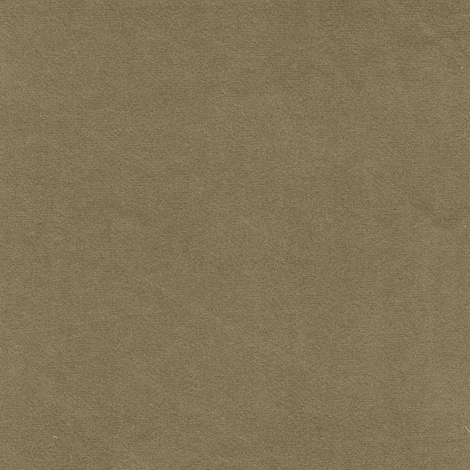 Light Sage Green Velvet